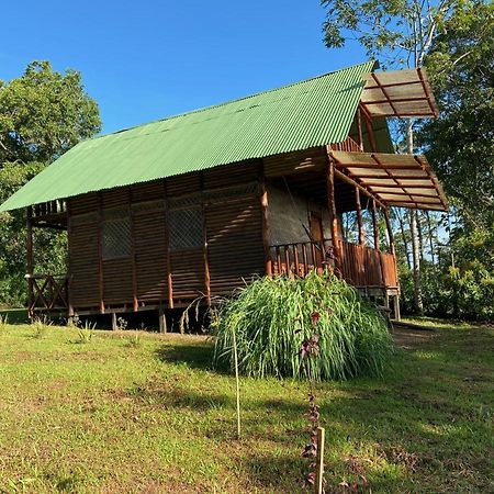 Eco Guest House- Sarapiqui 2 Экстерьер фото