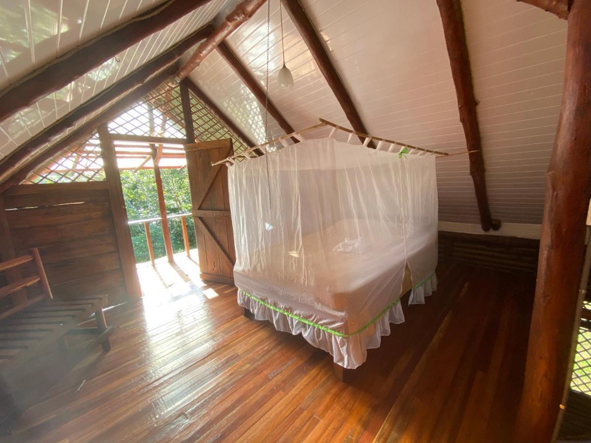 Eco Guest House- Sarapiqui 2 Экстерьер фото